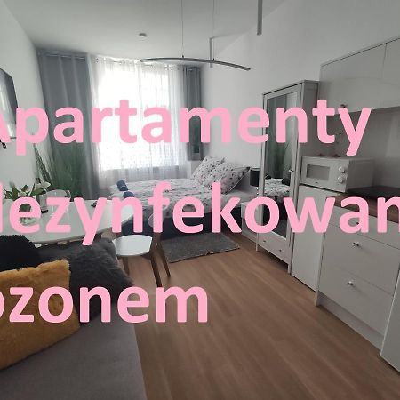 Apartament Elblag Goodenergy - Stare Miasto, Oldtown, Altstadt 外观 照片