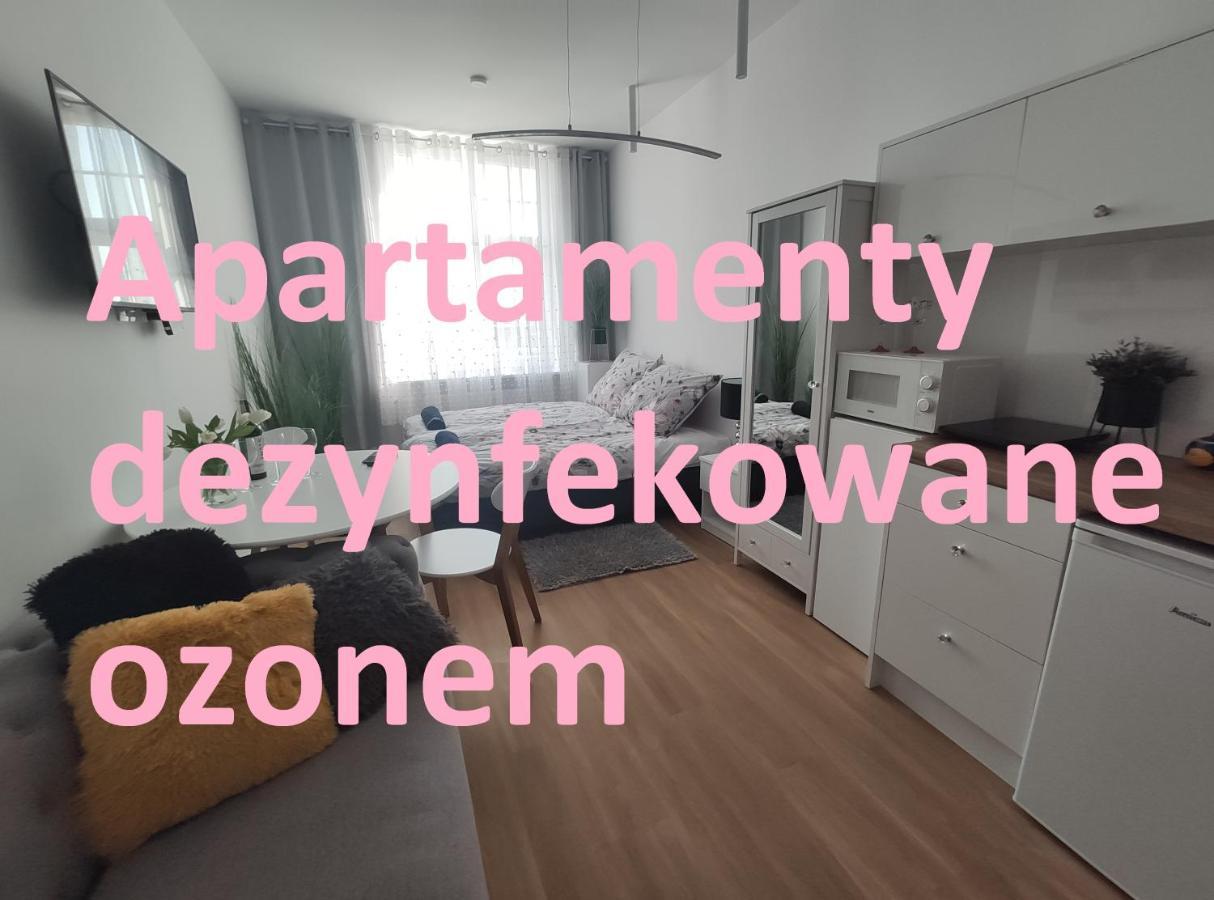 Apartament Elblag Goodenergy - Stare Miasto, Oldtown, Altstadt 外观 照片